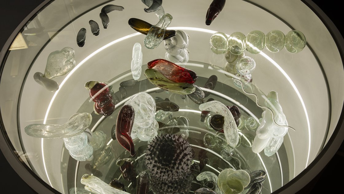 Asunción Molinos Gordo. Autoinducción, 2023