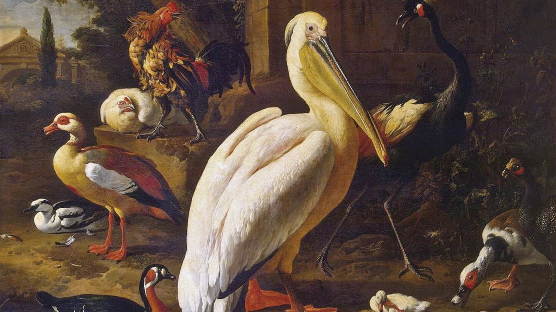 Aves en un parque, hacia 1686, de Melchior de Hondecoeter 