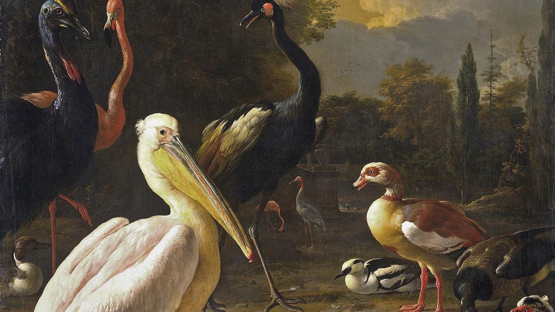 Un pelícano y otras aves cerca de una piscina (La pluma flotante), hacia 1680, de Melchior de Hondecoeter