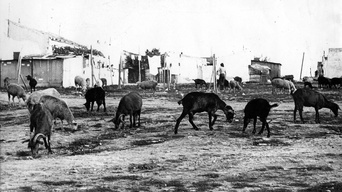 Paisaje de Orcasitas, Madrid, años 50