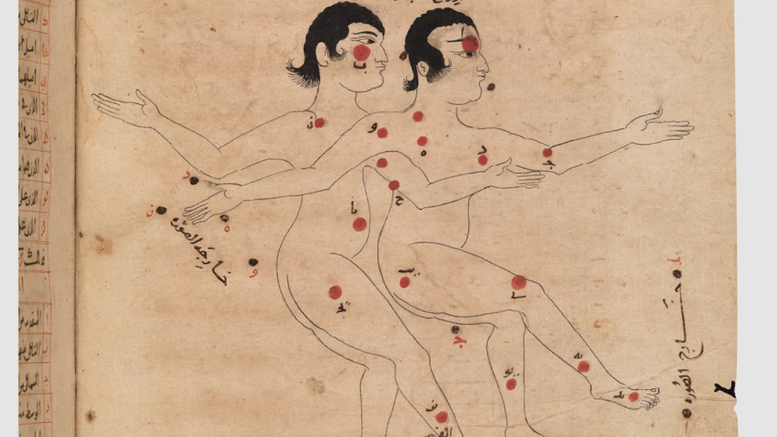 Al-Sufi, Detalle de Géminis en el Libro de las estrellas fijas, 964, Manuscrito iluminado, Bodleian Libraries, Oxford University, MS Marsh 144