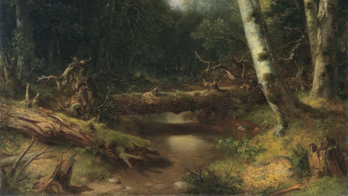 Un arroyo en el bosque. Asher Brown Durand
