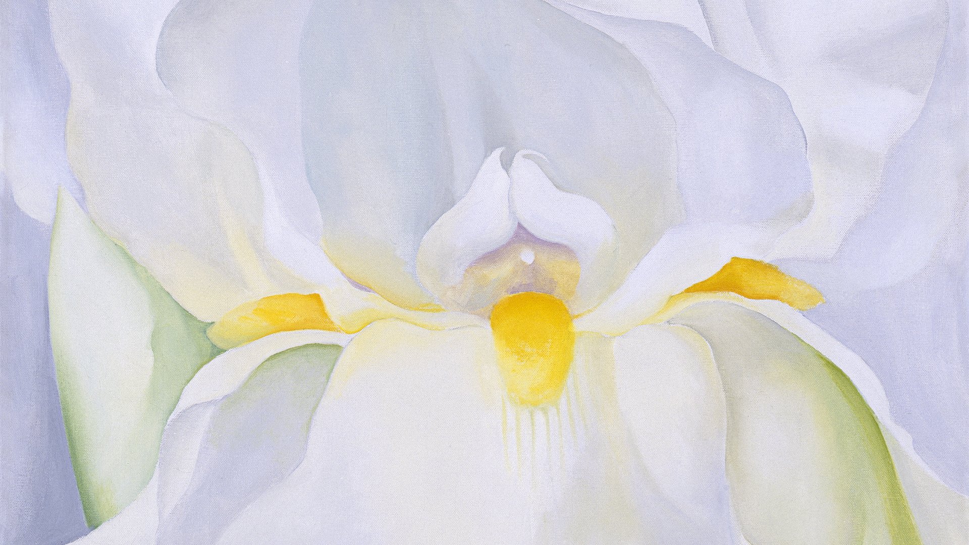 Lirio blanco nº 7. Georgia O'keeffe