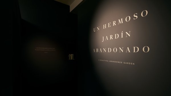 Un hermoso jardín abandonado