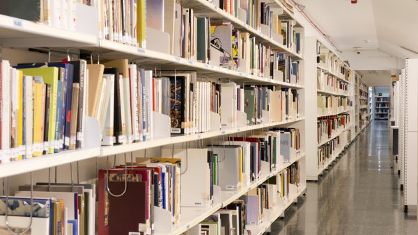 Proyecto: La biblioteca de &#039;Lección de arte&#039;