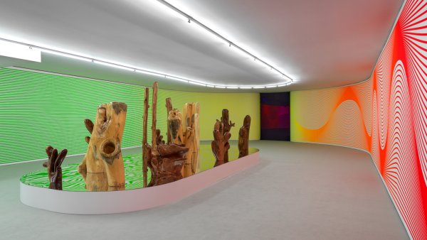 Conversatorio 21. Claudia Comte. After Nature