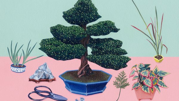 taller artista - naturaleza muerta - adultos - programas publicos - educathyssen