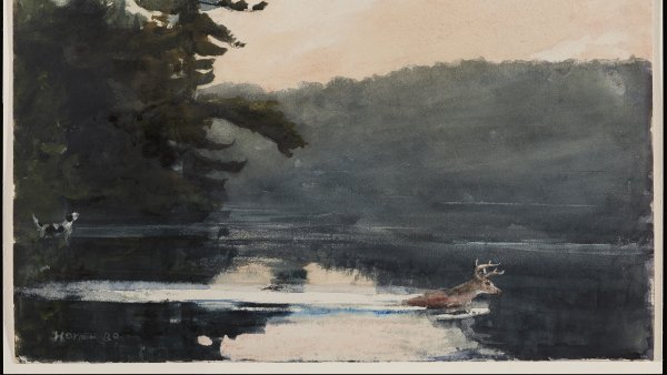 Ciervo en los montes Adirondacks. Winslow Homer