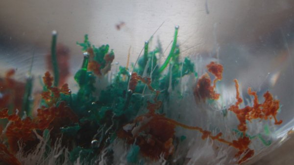 Museum Entanglement: The Thyssen and its Social Ecosystem