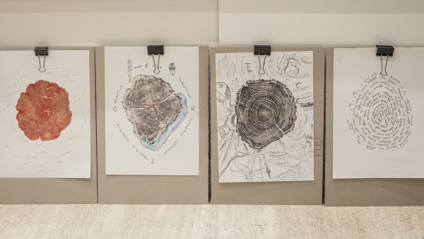 Proyecto artístico del profesorado