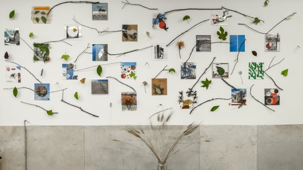 Proyecto artístico del profesorado