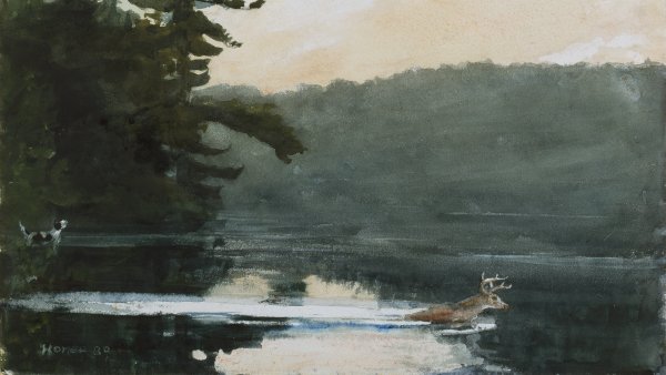 Ciervo en los montes Adirondacks. Winslow Homer