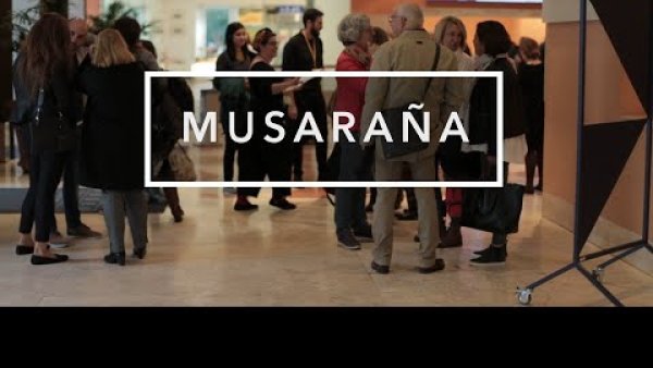 musarana -presentación -profesores -profesores y estudiantes -educathyssen