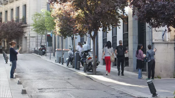 Musaraña