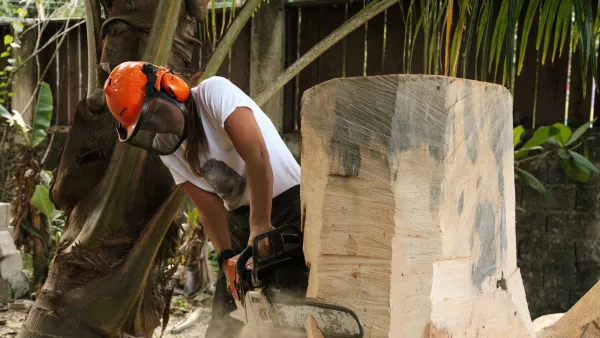 Claudia Comte, residencia TBA21–Academy. Alligator Head Foundation en Port Antonio, Jamaica