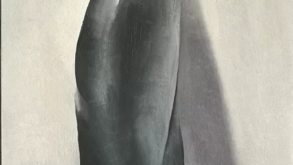 Concha y viejo tablón de madera V. Georgia O'Keeffe