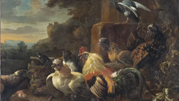 Arte de aves