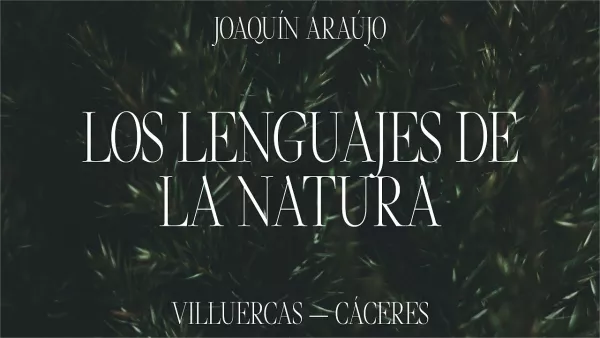 araujo_docuweb_thyssen