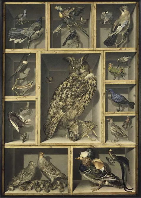 Bodegón con aves exóticas, siglo XIX, obra de Alexandre-Isidore Leroy de Barde