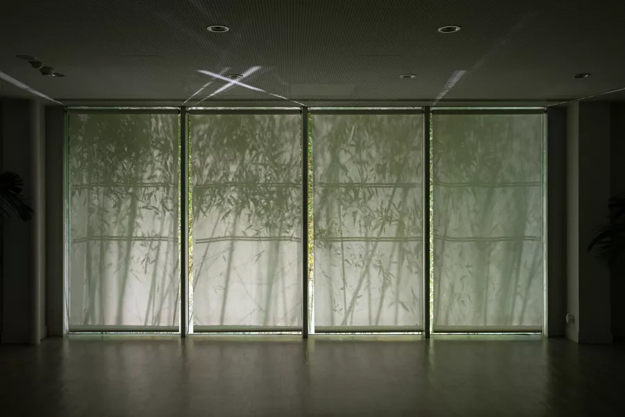 Museo Thyssen, fotografía de Asier Rua