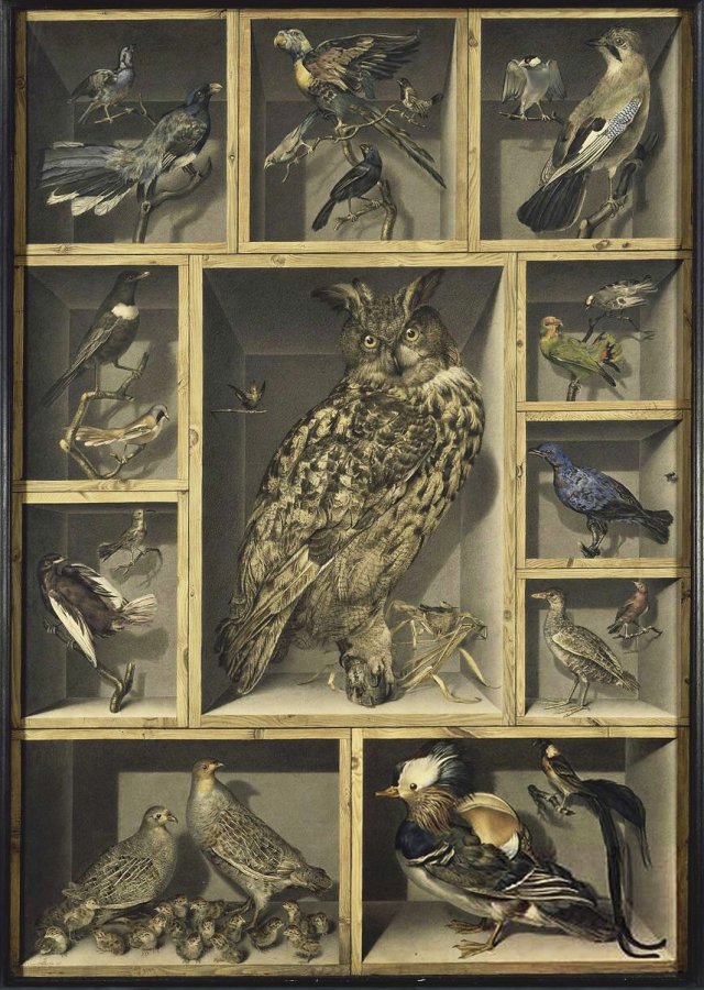 Bodegón con aves exóticas, siglo XIX, obra de Alexandre-Isidore Leroy de Barde