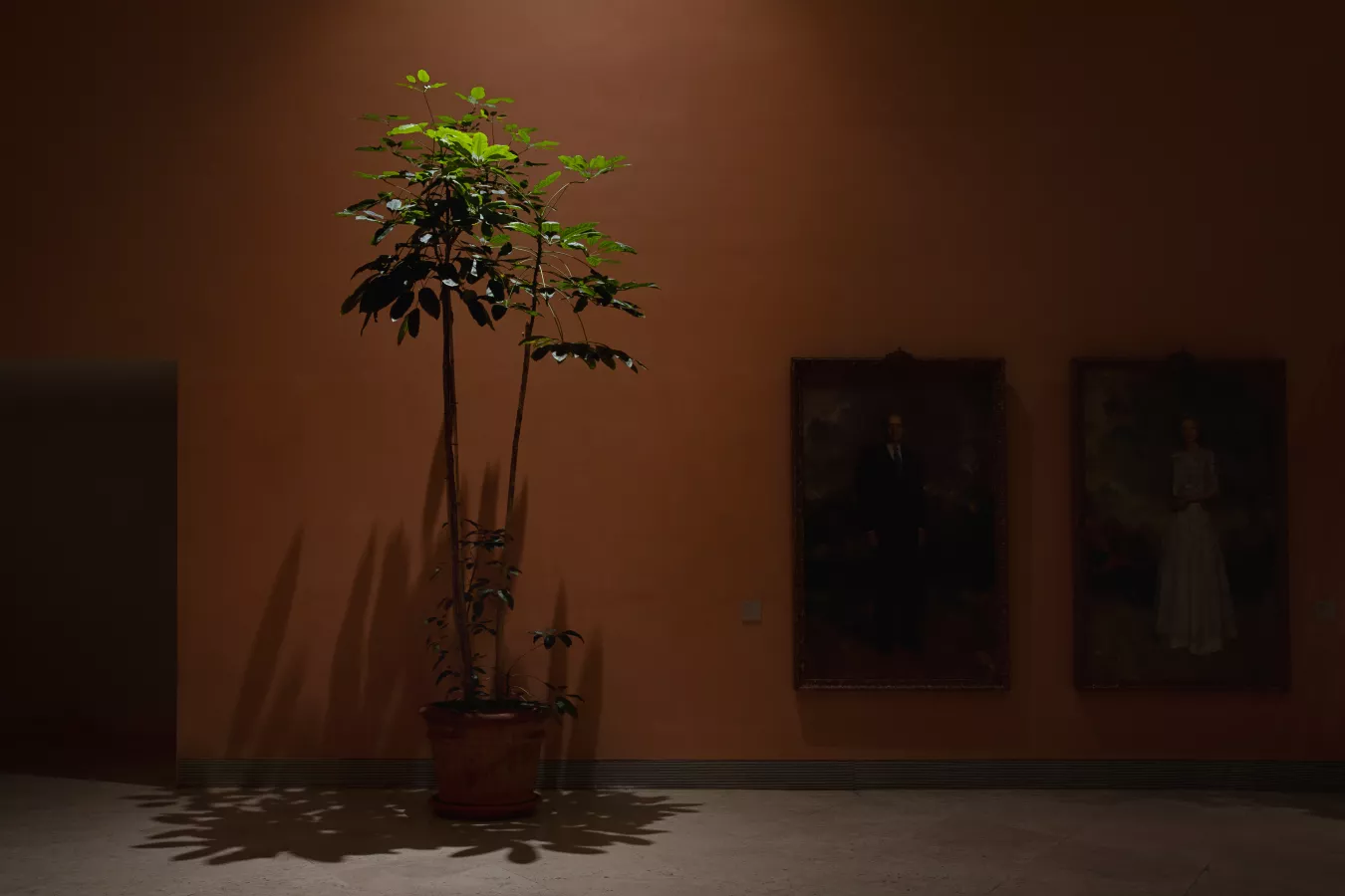 Museo Thyssen, fotografía de Asier Rua