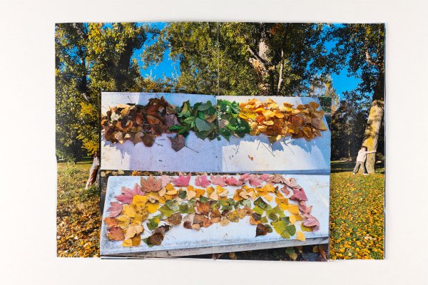 Proyecto de fotolibros para el profesorado