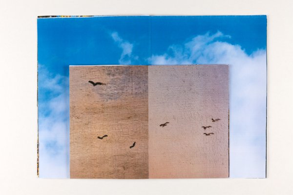 Proyecto de fotolibros para el profesorado