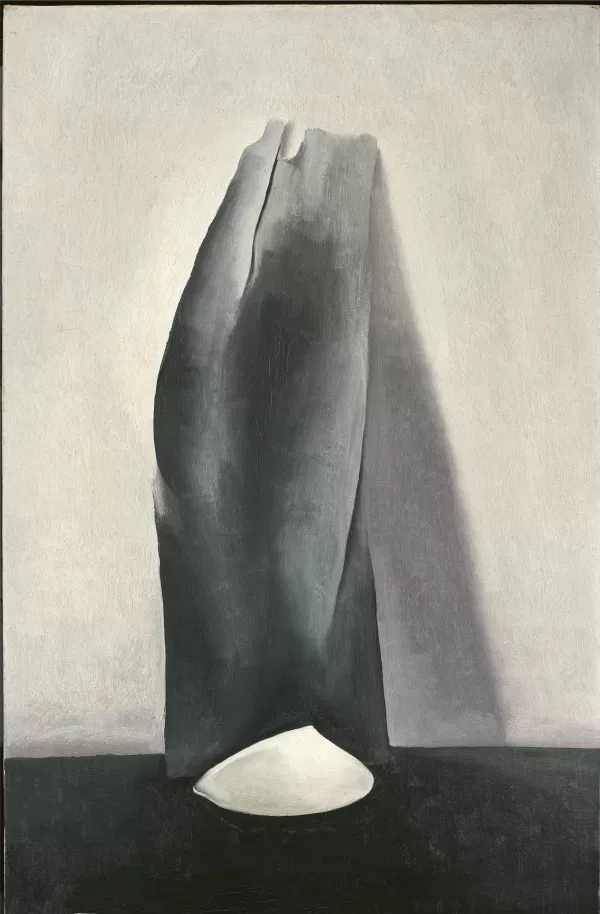 Concha y viejo tablón de madera V. Georgia O'Keeffe