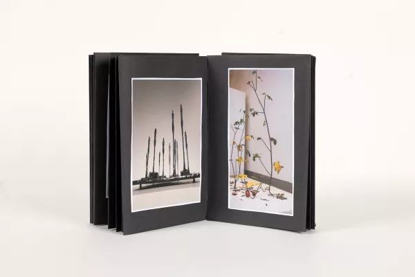 Proyecto de fotolibro Proyecto de fotolibros para el profesorado