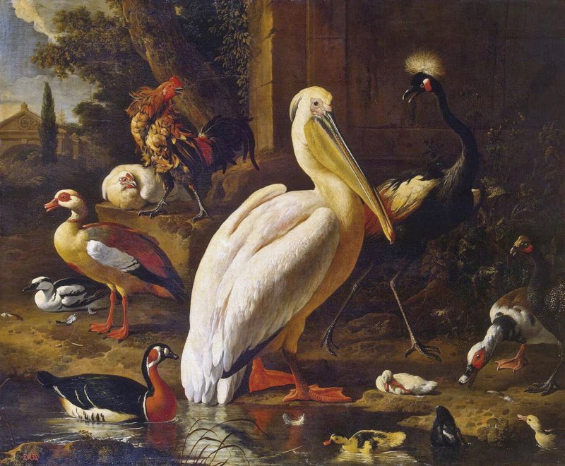 Aves en un parque, hacia 1686, de Melchior de Hondecoeter 