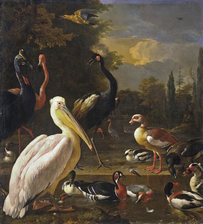 Un pelícano y otras aves cerca de una piscina (La pluma flotante), hacia 1680, de Melchior de Hondecoeter