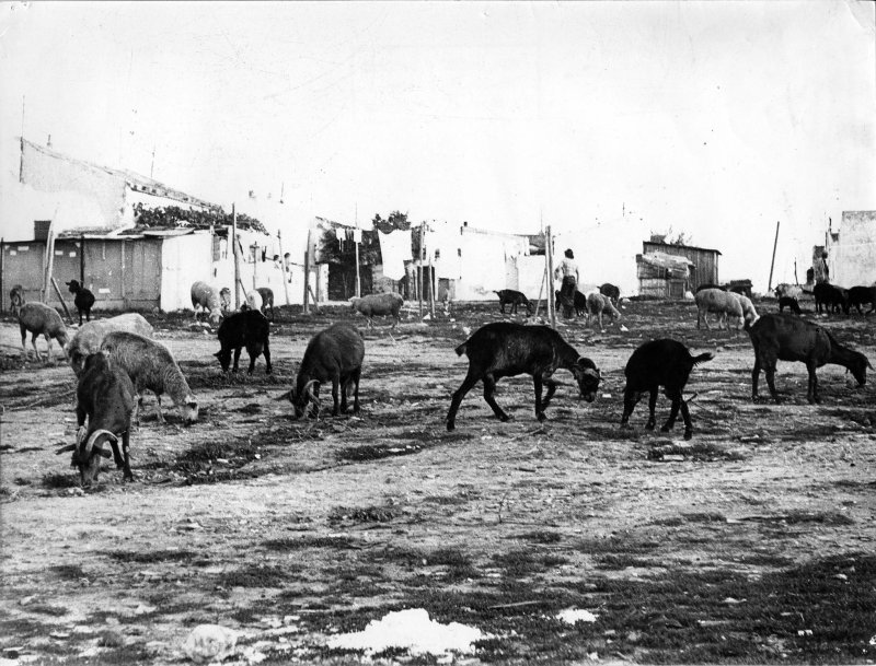 Paisaje de Orcasitas, Madrid, años 50