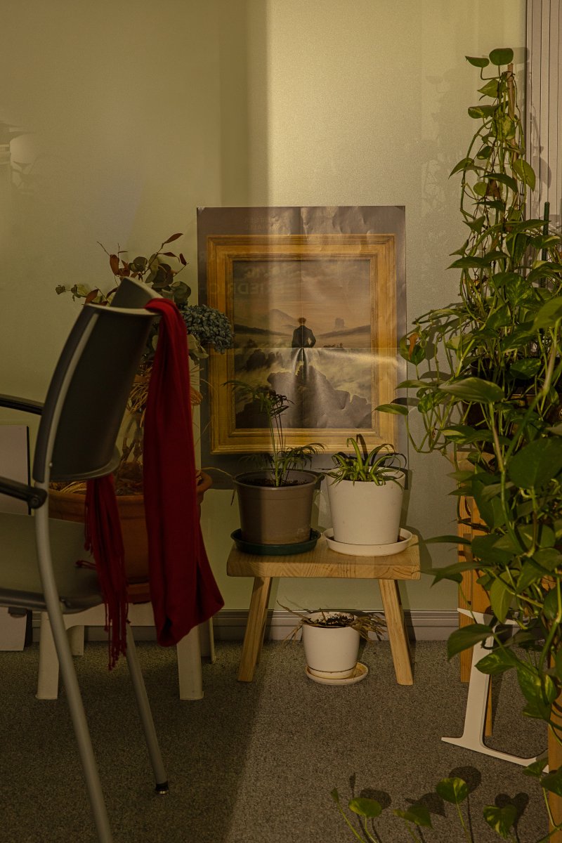 Museo Thyssen, fotografía de Asier Rua