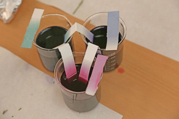 Taller arte y ciencias Taller arte y ciencias