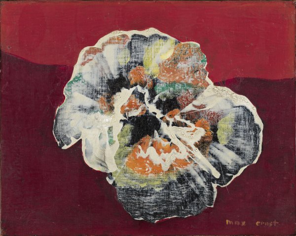 Flor-concha. Max Ernst Flor-concha. Max Ernst