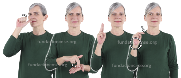 Acuarela en Lengua de Signos Española Signado de la palabra acuarela en Lengua de Signos Española