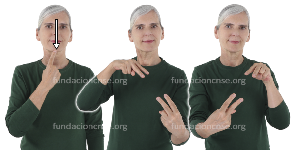 Anamorfosis en Lengua de Signos Española Signado de la palabra anamorfosis en Lengua de Signos Española