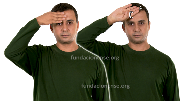 Antropología en Lengua de Signos Española Signado de la palabra antropología en Lengua de Signos Española