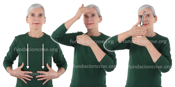 Armadura en Lengua de Signos Española Signado de la palabra armadura en Lengua de Signos Española