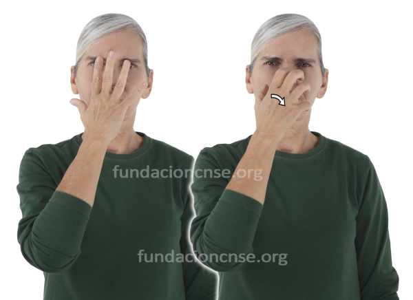 Nombre del artista Francis Bacon en Lengua de Signos Española Signado del nombre Francis Bacon en Lengua de Signos Española