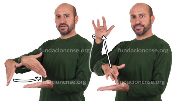 Barniz en Lengua de Signos Española Signado de la palabra barniz en Lengua de Signos Española