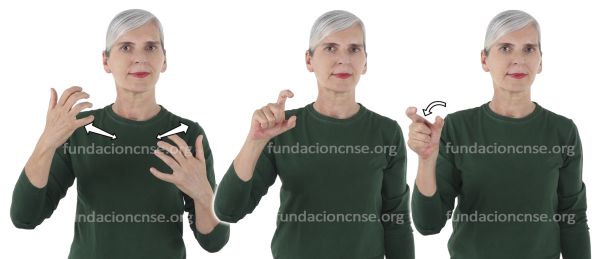 Bauhaus en Lengua de Signos Española Signado de Bauhaus en Lengua de Signos Española