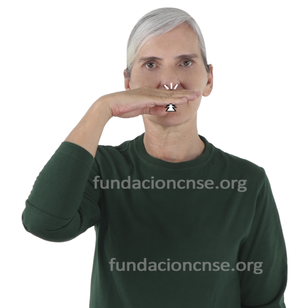 Nombre del artista Giovanni Bellini en Lengua de Signos Española Signado del nombre Giovanni Bellini en Lengua de Signos Española