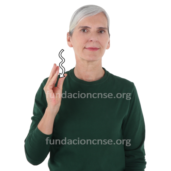 Nombre del artista Gian Lorenzo Bernini en Lengua de Signos Española Signado del nombre Gian Lorenzo Bernini en Lengua de Signos Española