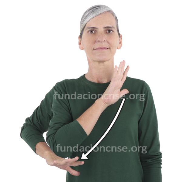 Boceto en Lengua de Signos Española Signado de la palabra boceto en Lengua de Signos Española