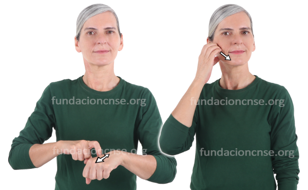 Bodegón en Lengua de Signos Española Signado de la palabra bodegón en Lengua de Signos Española