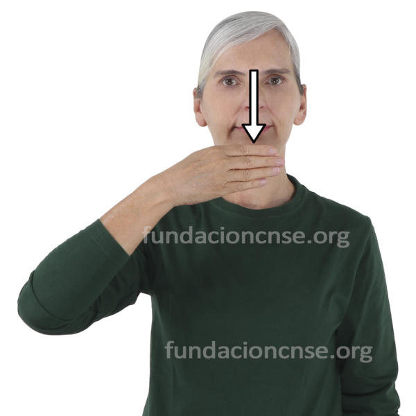 Nombre del artista Pierre Bonnard en Lengua de Signos Española Signado del nombre Pierre Bonnard en Lengua de Signos Española