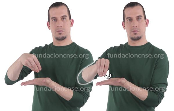 Brocha en Lengua de Signos Española Signado de la palabra brocha en Lengua de Signos Española