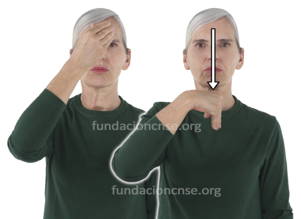 Nombre del artista Bronzino en Lengua de Signos Española Signado del nombre Bronzino en Lengua de Signos Española